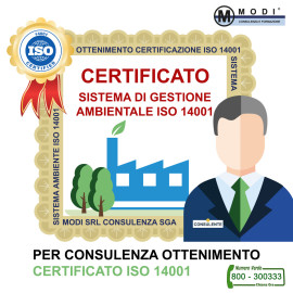 ISO-14001-3-270x270  